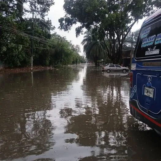 Inundaciones, caída de árboles y viviendas sin techo
